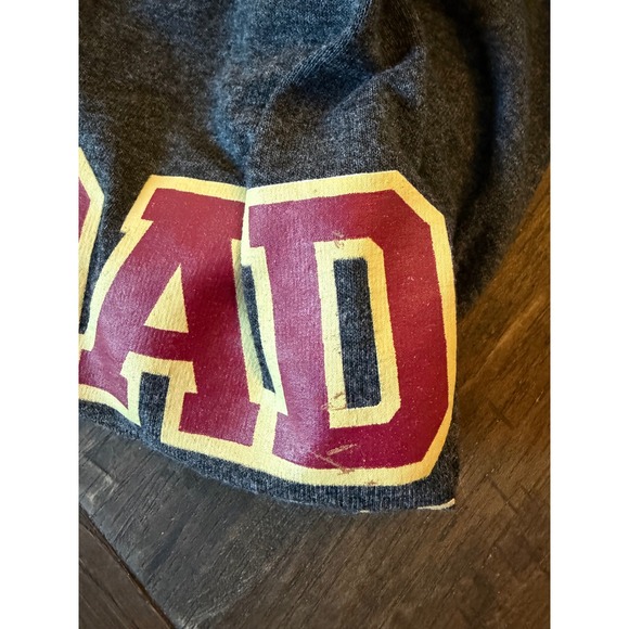 Champion Florida State University FSU Dad T Shirt Dark Gray Size Large - Picture 3 of 6